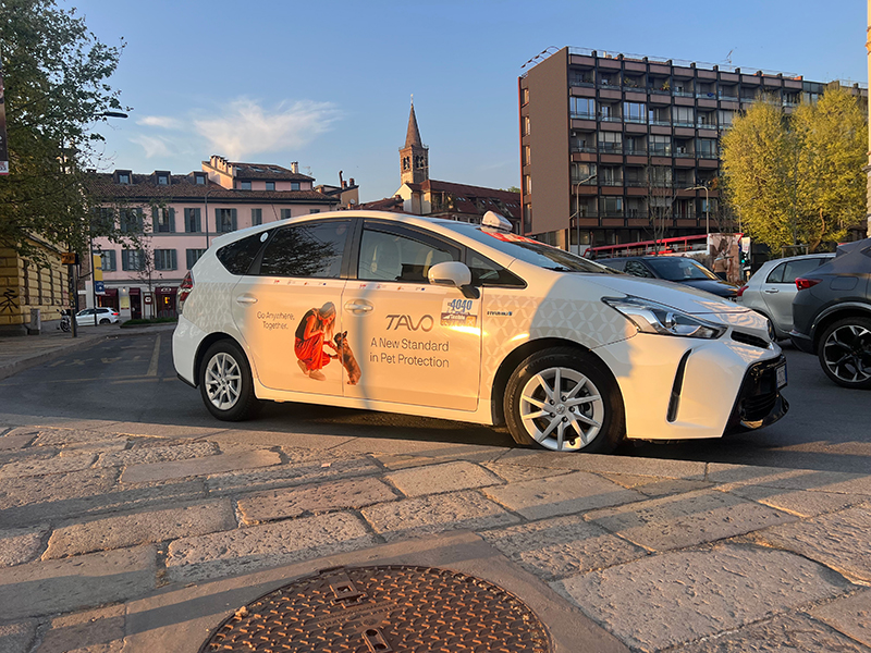 TAVO PETS